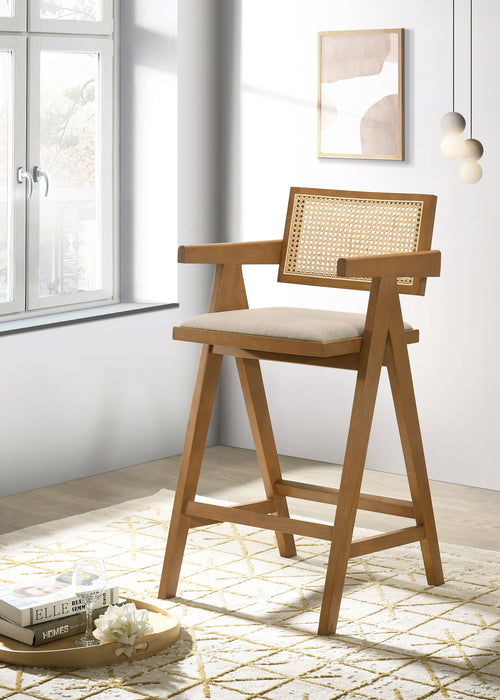 Kane Bar Stool - Just Furniture (PA) - Multi Location