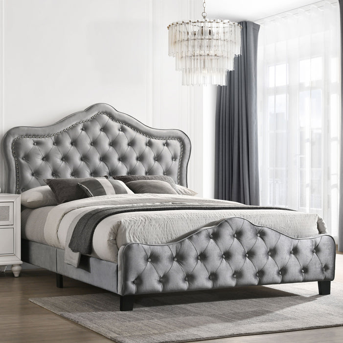 Bella Beds Cal.King & E.King, Queeen - Just Furniture (PA) - Multi Location