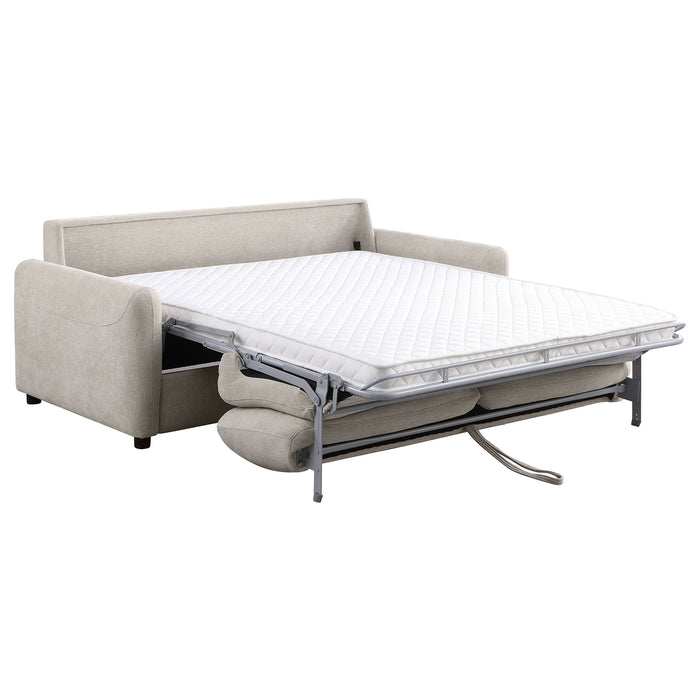 Rylie Sleeper Sofa - Just Furniture (PA) - Multi Location