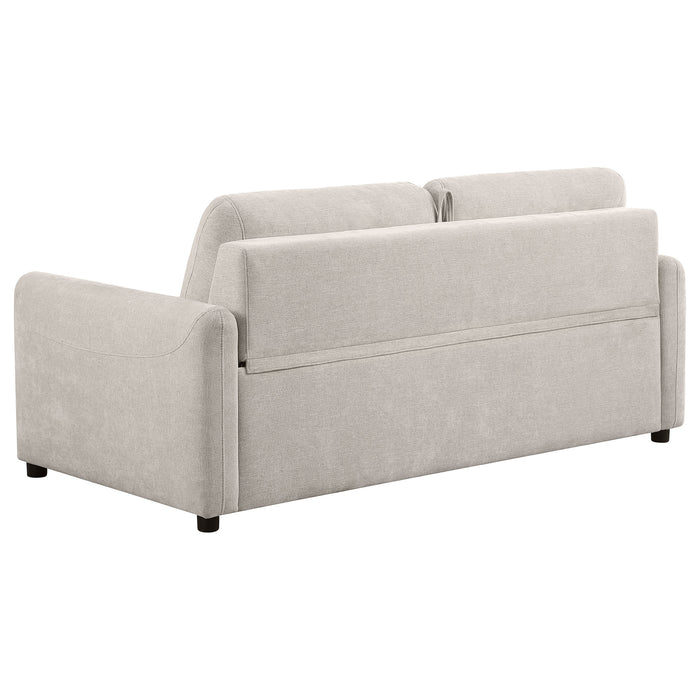 Rylie Sleeper Sofa - Just Furniture (PA) - Multi Location