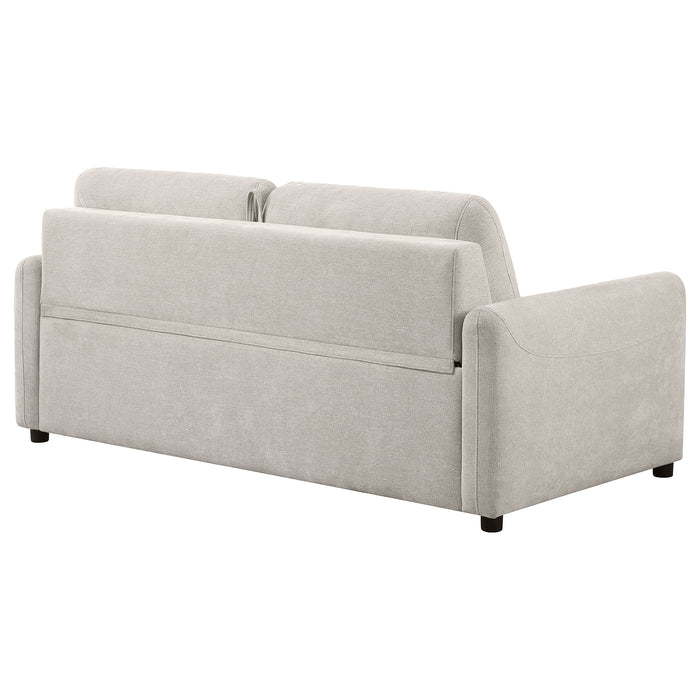 Rylie Sleeper Sofa - Just Furniture (PA) - Multi Location