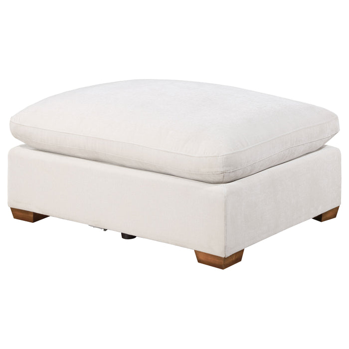 Lakeview Ottoman - Just Furniture (PA) - Multi Location