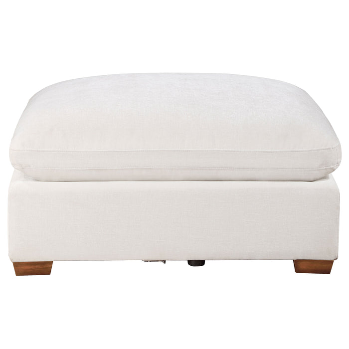 Lakeview Ottoman - Just Furniture (PA) - Multi Location