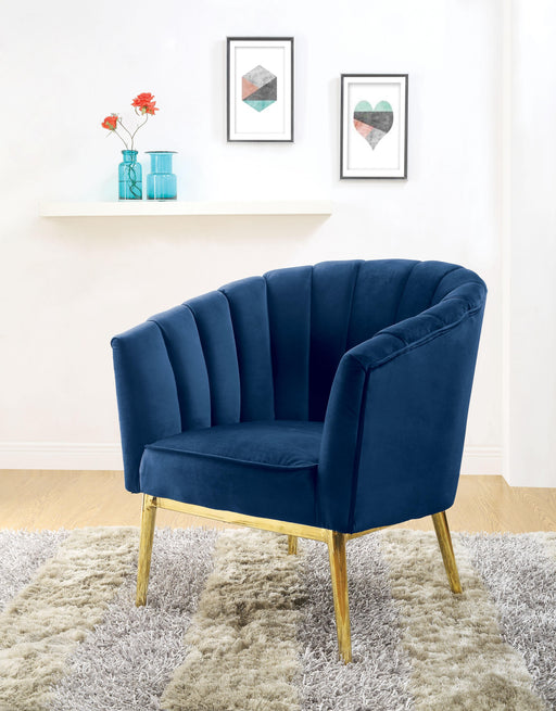 Colla Midnight Blue Velvet & Gold Accent Chair - Just Furniture (PA) - Multi Location