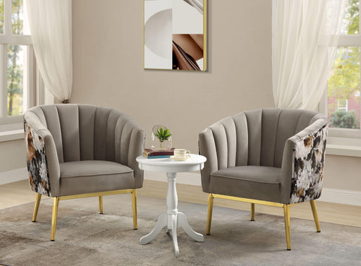 Colla Black Velvet & Gold Accent Chair - Just Furniture (PA) - Multi Location