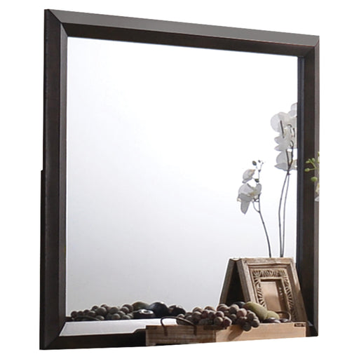 Merveille Espresso Mirror - Just Furniture (PA) - Multi Location