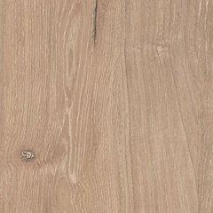 Cielden Chest of Drawers - Just Furniture (PA) - Multi Location