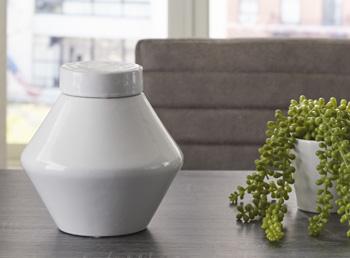 Domina Jar (Set of 2) - Just Furniture (PA) - Multi Location