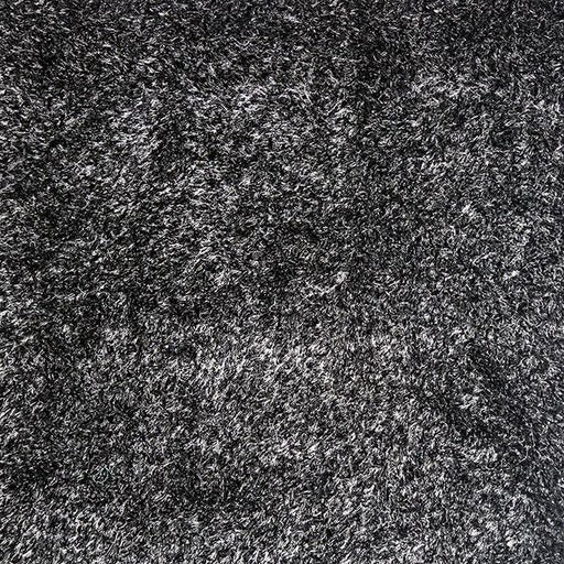 Annmarie Black 5' X 8' Area Rug - Just Furniture (PA) - Multi Location