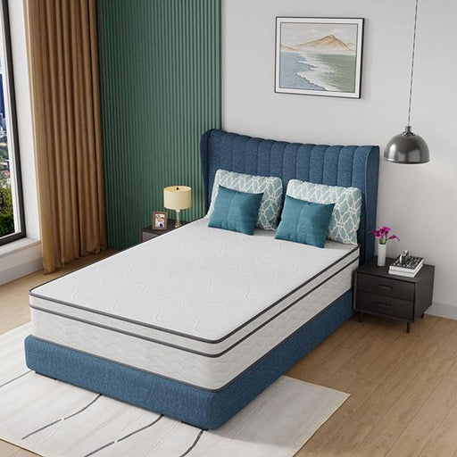 Catmint 12" Full Innerspring Mattress - Just Furniture (PA) - Multi Location