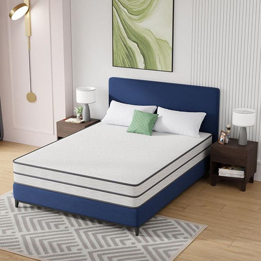 Catmint 10" Queen Innerspring Mattress - Just Furniture (PA) - Multi Location