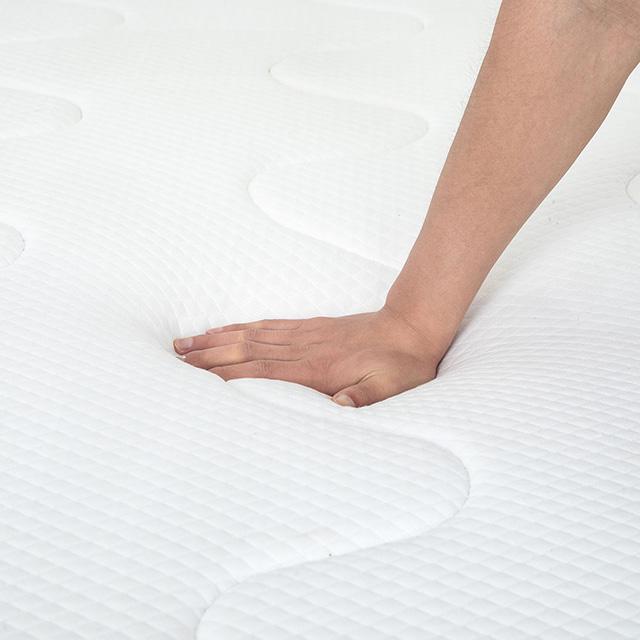 Catmint 10" Queen Innerspring Mattress - Just Furniture (PA) - Multi Location