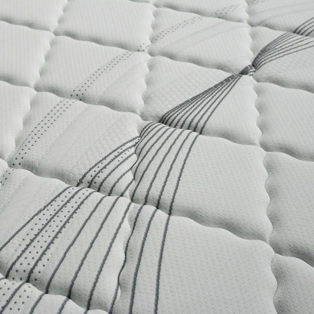 EDREA White/Gray 10" Tight Top Pocket Coil, Cal.King - Just Furniture (PA) - Multi Location