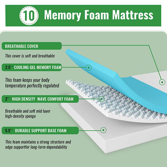 Coreopsis 10" Queen Memory Foam Wave Comfort - Just Furniture (PA) - Multi Location