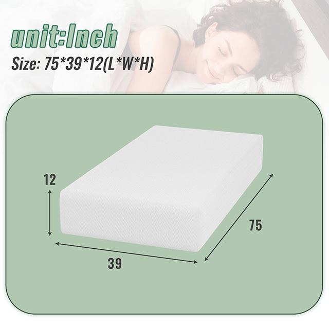 Coreopsis 12" Twin Memory Foam Wave Comfort - Just Furniture (PA) - Multi Location