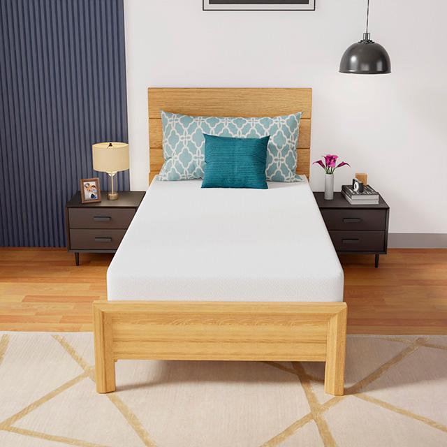 Coreopsis 8" Twin Memory Foam Wave Comfort - Just Furniture (PA) - Multi Location