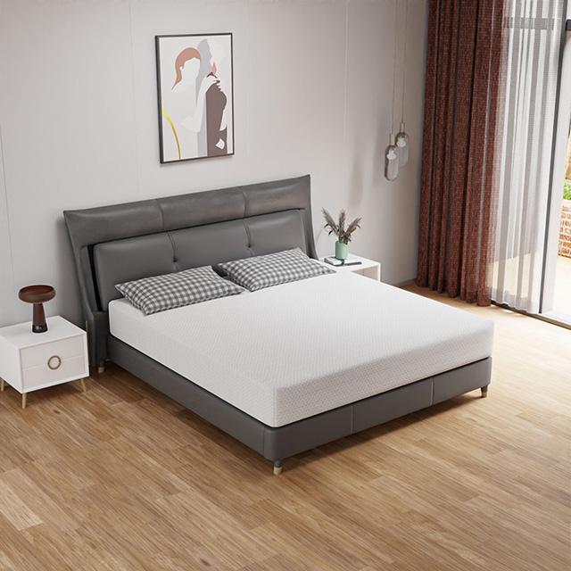 Forsythia 10" Queen Green Tea Gel Memory Foam - Just Furniture (PA) - Multi Location
