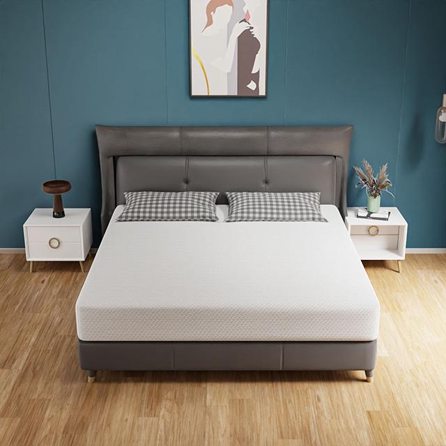 Forsythia 10" Queen Green Tea Gel Memory Foam - Just Furniture (PA) - Multi Location