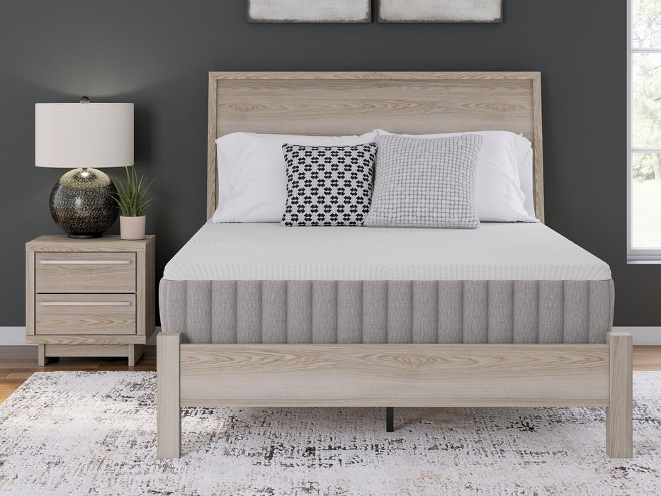 Terra Sleep Medium Mattress - Just Furniture (PA) - Multi Location