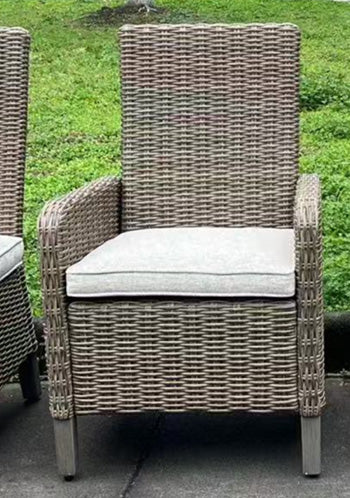 Laguna Heights Arm Chair with Cushion (Set of 2) - Just Furniture (PA) - Multi Location