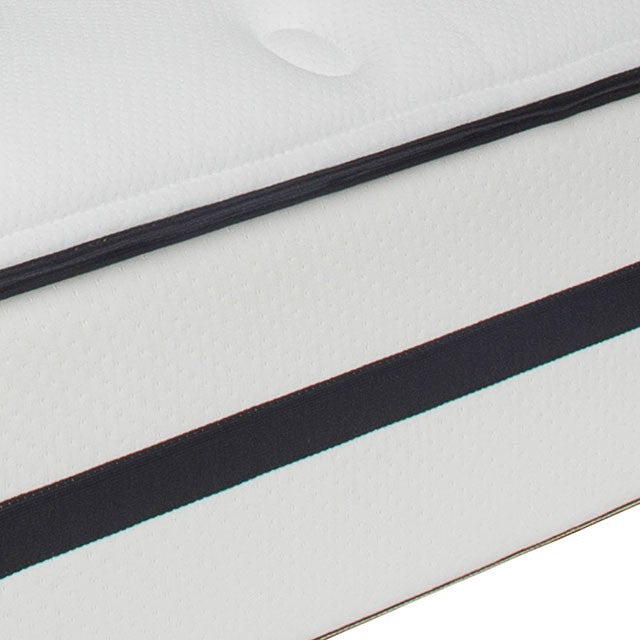Kastel Queen Mattress - Just Furniture (PA) - Multi Location