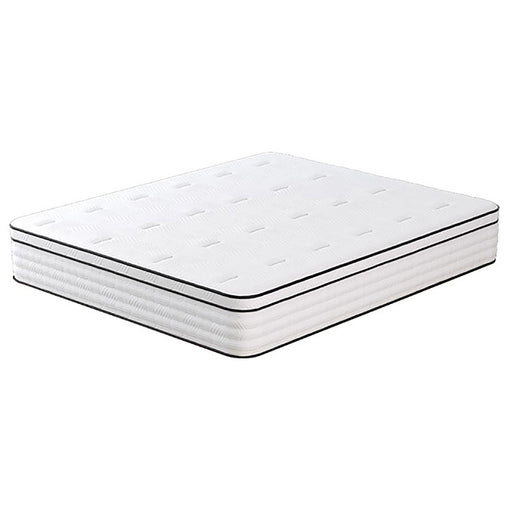 Salvia 12" Cal.King Hybrid Pocket Coil Mattress - Just Furniture (PA) - Multi Location