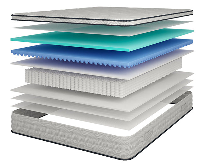 Salvia 12" Queen Hybrid Pocket Coil Mattress - Just Furniture (PA) - Multi Location