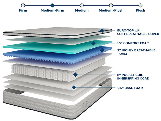 Salvia 12" Queen Hybrid Pocket Coil Mattress - Just Furniture (PA) - Multi Location