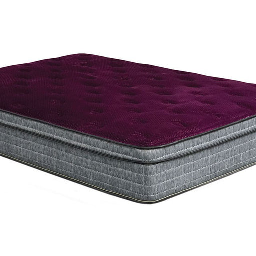 Minnetonka 13" Euro Pillow Top Mattress - Just Furniture (PA) - Multi Location