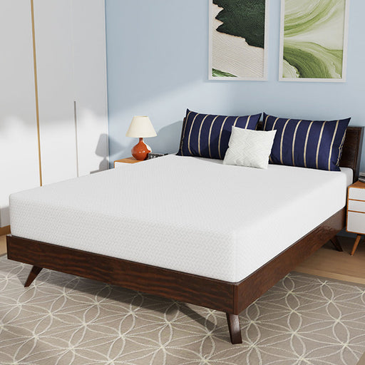 Nasturtium 10" Queen Bamboo Charcoal Infused Memory Foam - Just Furniture (PA) - Multi Location