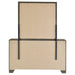 Wright Dresser with Mirror - Just Furniture (PA) - Multi Location
