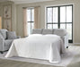 Adlai Sofa Sleeper - Just Furniture (PA) - Multi Location