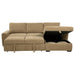 Pastrana Pull-Out Sleeper Sectional Sofa - Just Furniture (PA) - Multi Location