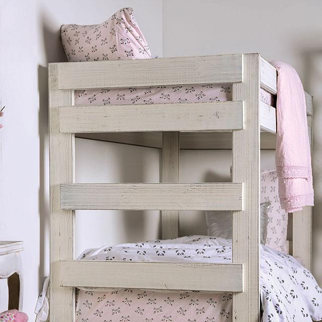 Arlette Twin/Twin Bunk Bed Brown, Black, Gray, & White - Just Furniture (PA) - Multi Location
