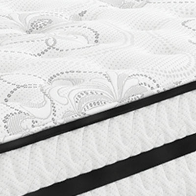 Chime 10 Inch Hybrid Mattress in a Box - Just Furniture (PA) - Multi Location