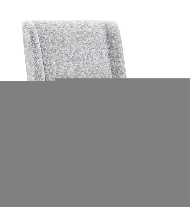 Fede Dining Side Chair (1/CTN)